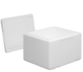 Custom EPS Foam Food Box