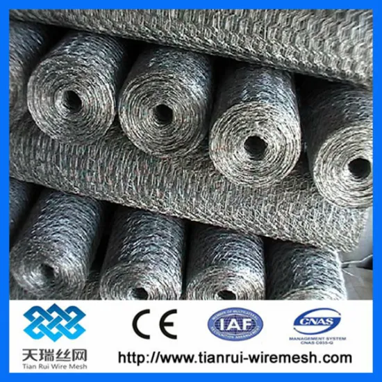Stainless steel hexagonal wire netting