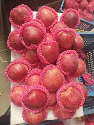 Full Color Good Quality Red Star Apple