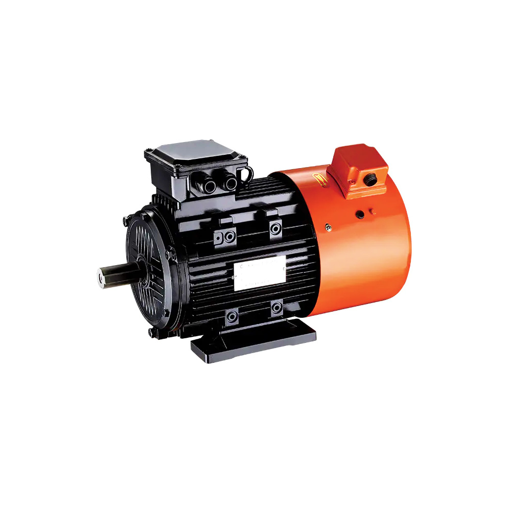 Permanent magnet synchronous motor06-y