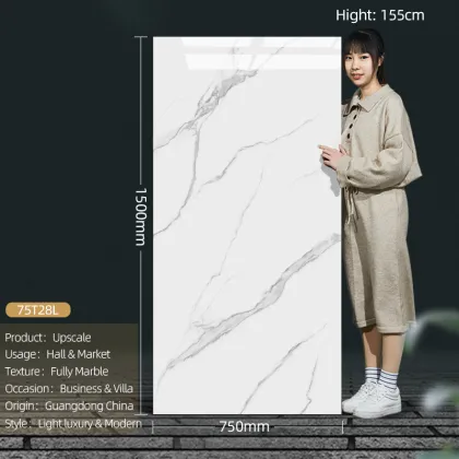 Foshan Ceramics 750X1500mm Floor and Wall Tiles