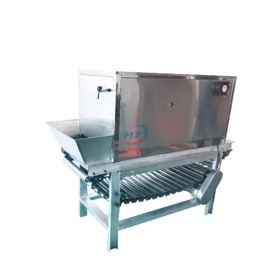 Onion Peeler Machine: Chain Onion Peeling and Skin Removal Machine