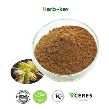 10:1 extract Eucommia male flower contains flavonoids