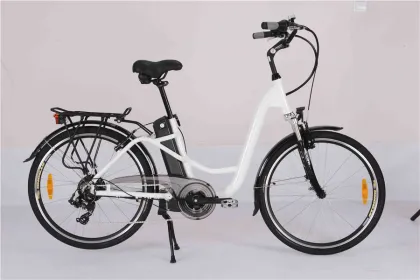 road electric bicycle