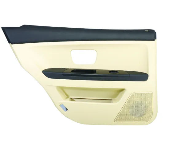 SKODA Automobile Door Panel Plastic Injection Mould