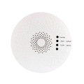 Rilevatore di gas combustibile wireless JT-TC533W