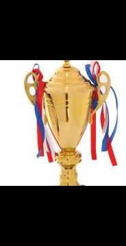 Metal trophy