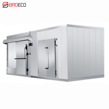 Fresh Keeping Customized CE 40 Feet Cold Room Containers