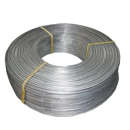 Gustav Wolf Elevator Steel Wire Rope 6mm High Carbon Stainless Steel