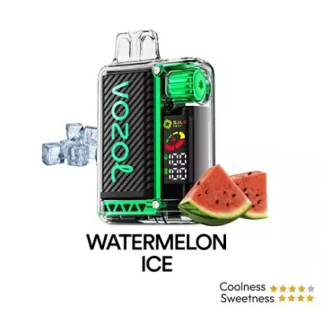 VOZOL Vista 20000 Puffs Disposable Vape Germany Wholesale