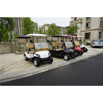 2 Seater Gasoline or Gas Powered Golf Carts