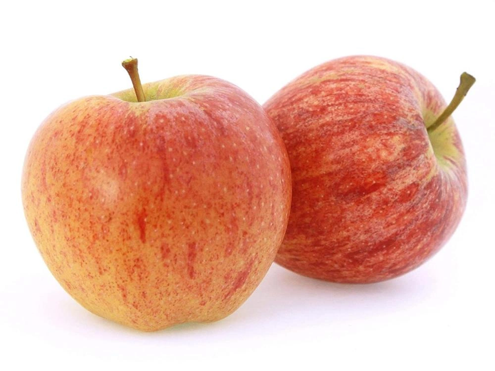 Organic Gala Apples from China, Gala Apple Wholesale