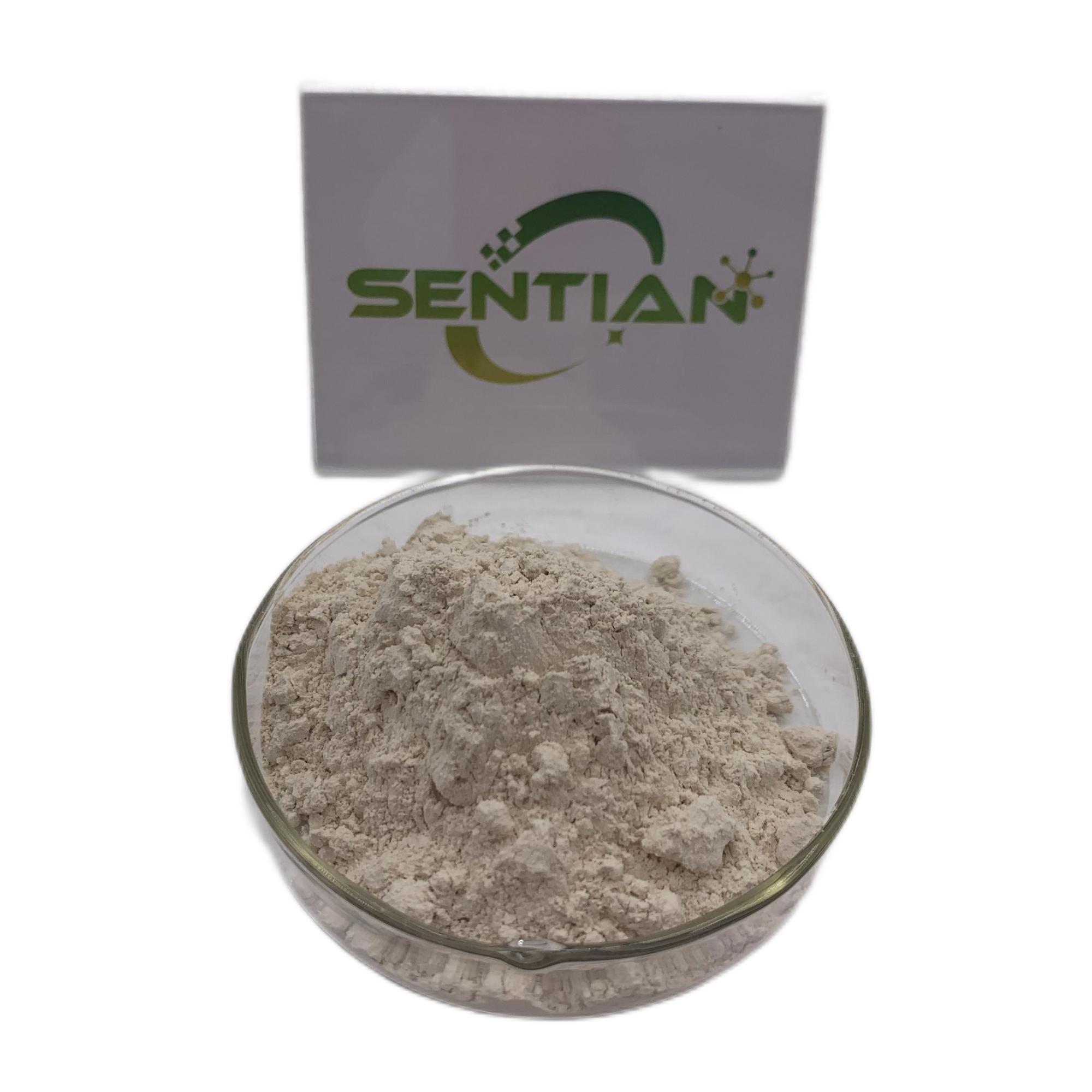 Bacillus coagulans Additive probiotics Bacillus Coagulans