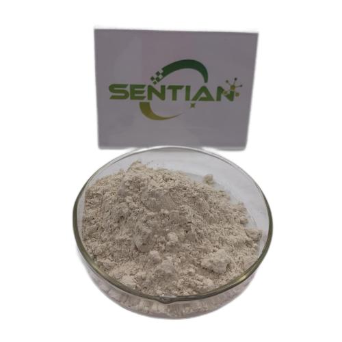 Bacillus coagulans Additive probiotics Bacillus Coagulans