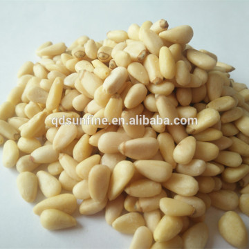 Top Quality Cheap Bulk Wholesale Dried Pine Nuts