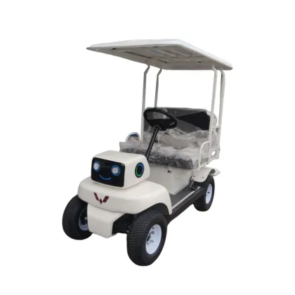 Lead-acid battery electric vehicle