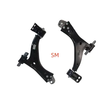 OEM Front Lower Control Arm 26368070 26368071 for Chevrolet Monza