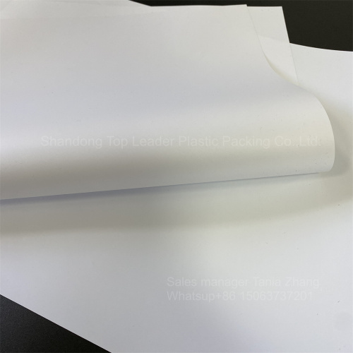 100mic high quality White PET-G sheet and film