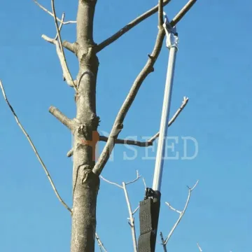 Electric Long Pole Trimmer for High Tree Pruning