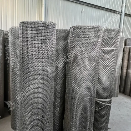 Stainless Steel Wire Mesh Plain Weave 22 Mesh