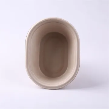 Disposable sugarcane moulded pulp oval bowl for noodle