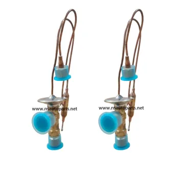 Magnet for Thermostatic Expansion Valve - 3 Minute Double Ended EW8-20M001