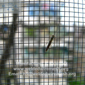 Galvanized Insect Net