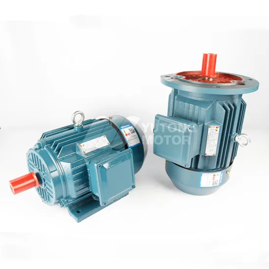 Top Quality YE2 Induction Motors: 7.5 kW, 22 kW, and 250 kW Electric Motor Prices