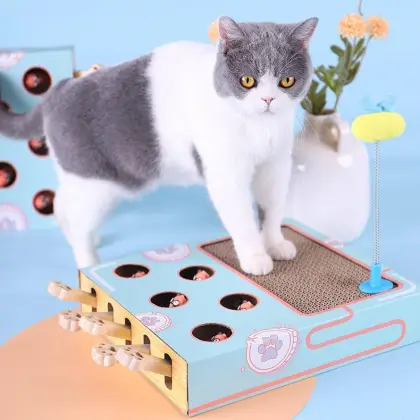 Five Hole Whack-A-Mole Cat Scratcher
