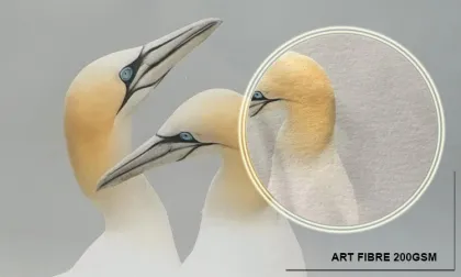 36 Inch Matte Fine Art Blank Photo Rolling Paper for Epson - Colorfan