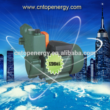 IZDB series IZDB35 IZDB45 IZDB65 0.5HP 0.75HP 1HP 1" Vortical suction pump for families,gardens,hotels and villas
