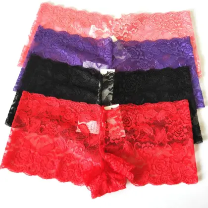 Plus Size Transparent Lace Panties in Multiple Colors (S to 5XL)