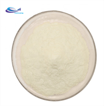 Herbal extract Oyster Shell Powder shell powder
