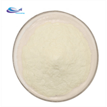 Herbal extract Oyster Shell Powder shell powder