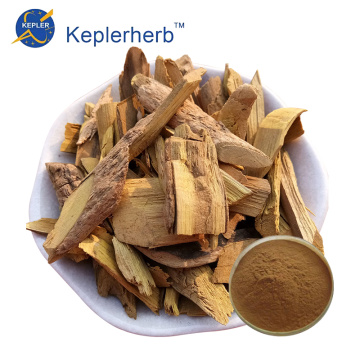 Barberry Bark Extract Factory Supply