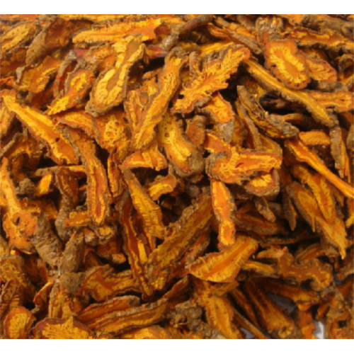 Chinese Traditional Medicine coptis chinensis