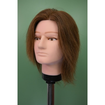 Mannequin Head With Hair High Quality Male Mannequin Head With Hair Factory