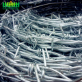 Anti-karat Galvanized Barbed Wire Pagar Untuk Dijual