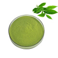 Venta caliente de grado culinario orgánico Pure Matcha Powder