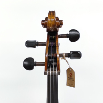 Bestes professionelles fortgeschrittenes Cello