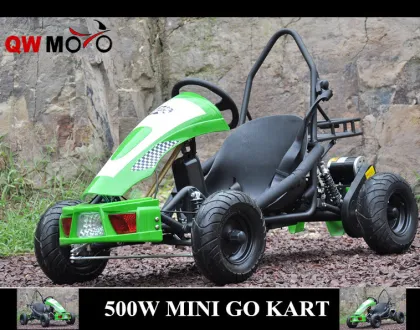 QWMOTO CE 800W Go Kart for childern use Only 36V 800W Electric Buggy Go Kart Mini Racing go kart