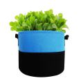 Gartenkartoffelfilzgefühle Pflanze Wachsen Beutel