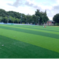 Tapis chinois 50mm de mur de gazon artificiel de football