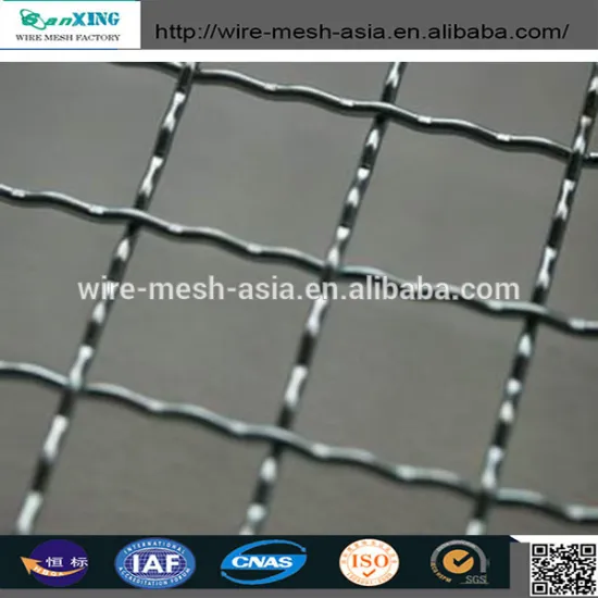 filter screen square wire mesh&crimped bbq wire netting