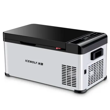 12v/24v portable car refrigerator