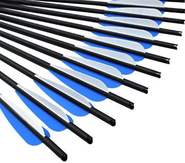 12 Pcs Carbon Crossbow Arrows for Hunting and Urban Arrow Cargo Bike