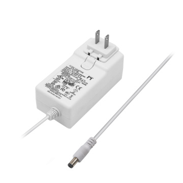 Plugue intercambiável 48W 12V 4A adaptador de energia