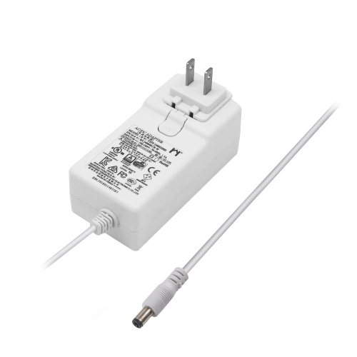 Verwisselbare plug 48W 12V 4A Power Adapter