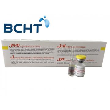 Ampoule ရှိ BCHT တုပ်ကွေးကာကွယ်ဆေး