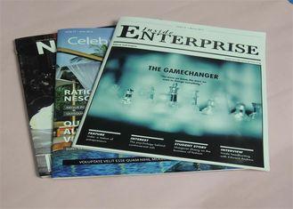 Offset Brochure Leaflet Flyer Catalog Printing Service Matt